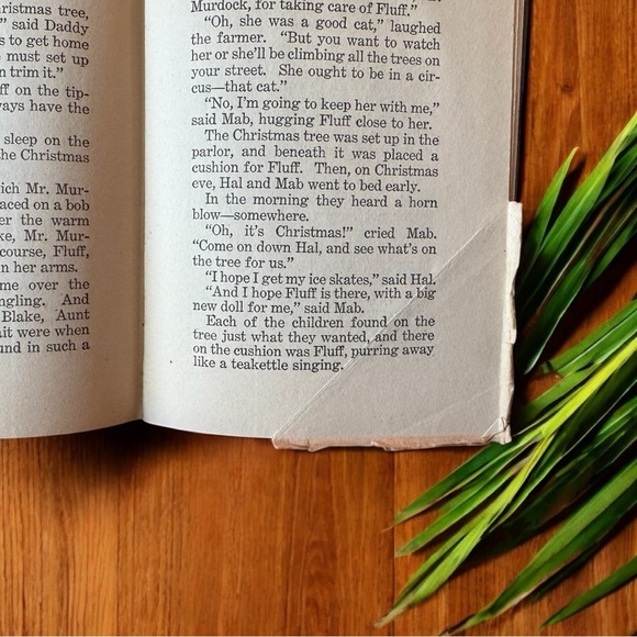 VINTAGE 1914 “Daddy Takes Us to the Woods” by Howard R. Garis - Picture 15 of 16